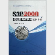 SAP2000鋼結構分析軟件實例講解
