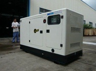 25 KVA, 20KW Laidong Engine Diesel Power Generator with EPA