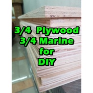 ✢3/4 MARINE PLYWOOD and 3/4 PLYBOARD for your DIYs (pre-cut) (l