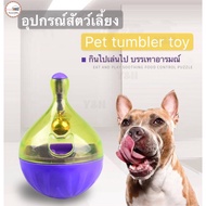 ลดล้างสต็อก Y&amp;H ของเล่นสัตว์เลี้ยง อุปกรณ์สัตว์เลี้ยง ฝึกใหอาหารสัตว์เลี้ยง ของเล่นสุนัข ของเล่นแมว pet toy tumbler ลดลดราคาถูกสุดสุด ของเล่น ของเล่นแมว ของเล่นแมวโต แมวเด็ก ของเล่นสัตว์เลี้ยง กรง ลัง เป้ อุปกรณ์สัตว์เลี้ยง อาหาร
