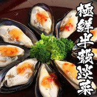 【海鮮王】極鮮半殼淡菜3盒組(約24-28顆/800g/盒 )