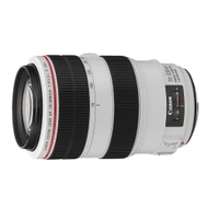 Canon EF 70-300mm f/4-5.6L IS USM (平行輸入)