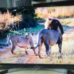 LG 43吋 43inch 43UN7400 4k 智能電視 smart tv