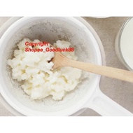 Live active milk kefir grains for DIY yogurt at home with fresh full cream milk