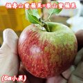 福壽山蜜蘋果,6A10台斤一箱-單果2.7兩-3.4兩-梨山蜜蘋果產季-11-12月