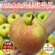【WANG 蔬果】日本青森XL名月蜜蘋果(16~18顆/約5kg)