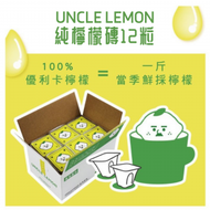 Uncle Lemon - 【台灣製】100%純檸檬磚特級檸檬汁 / 瘦身減肥 生酮 無糖 維他命C | 4710281420041