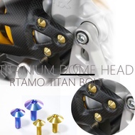 RTAMO Titanium Alloy Umbrella Allen big Head m5x15/m6x12/15/20/25 Fender bolt