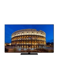 (含標準安裝)【Panasonic國際牌】55吋4K聯網OLED電視 TH-55GZ1000W