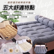 超舒適加厚10cm羽絲絨棉被床墊-雙人