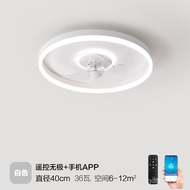 ceiling fan light SmallRice(MI)Universal Ceiling Fan Lamp Household Electric Fan Ceiling Fan Lights Invisible Integr