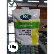 1Dus Benih Jagung NK 7328 Sumo Kemasan 1Kg / Benih Jagung Hibrida Nk Sumo