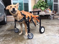 วีลแชร์สุนัข พิการขาหน้า ขนาดไซส์ M. สัตว์เลี้ยง รถเข็น wheelchair dog  **ติดต่อร้านค้าก่อนสั่งซื้อ**โดยสัตวแพทย์