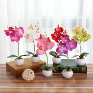 AONEZ Bunga Imitasi Plastik Anggrek Phalaenopsis Dengan Pot Keramik