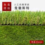 仿真草皮 曼徹斯特 尺寸1X1m 人工草皮