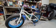 Wellgo 20吋單車