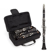 豎笛 YAMAHA 膠管豎笛 YCL-255 黑管