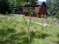 住宿 Tabasco Lodge - Tabasco, NY Suite 1 克洪克森, 紐約, 美國