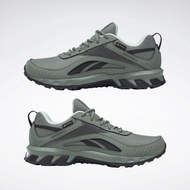 不議價 全新 Reebok Gore-Tex 越野慢跑鞋 us10