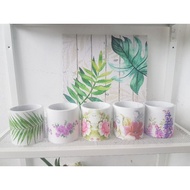 ☁●Cement pots for succulents
