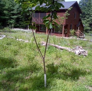住宿 Tabasco Lodge Tabasco, NY - Suite 2 克洪克森, 紐約, 美國