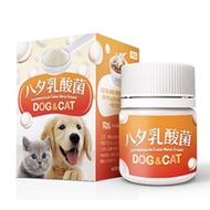 LCH寵物乳酸菌30g