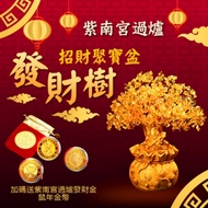 正宗紫南宮過爐加持招財發財樹聚寶盆錢母組