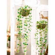 Emulational Green Dill Begonia Leaf Chlorophytum Hanging Plant Pot Balcony Courtyard Hanging Basket Greenery Wall Hangin