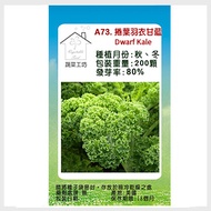【蔬菜工坊】A73.捲葉羽衣甘藍種子