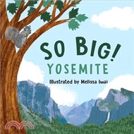 1427.So Big Yosemite Melissa Iwai