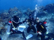 綠島｜PADI水肺潛水體驗＆證照課程（含住宿）