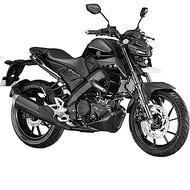 YAMAHA 山葉機車 MT-15 ABS 2020年車