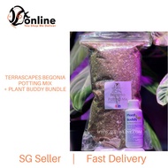 BUNDLE Deal : PLANT BUDDY 100ml + TERRASCAPES Begonia Potting Mix - 2.5L