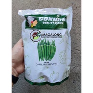 (It's a seed, not a plant!)CONDOR SEEDS - OKRA SEEDS - CAMILING SMOOTH - 1 KILO