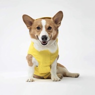 【CANADA POOCH】追隨者雨衣22號(CANADA POOCH TORRENTIAL TRACKER)