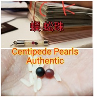 Wealth  Centipede pearl 蜈 蚣 珠