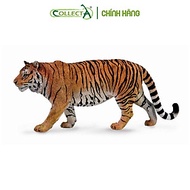 Mô hình thu nhỏ: Hổ - Siberian Tiger, hiệu: CollectA, mã HS 9651200[88789] - Chất liệu an toàn cho trẻ - Hàng chính hãng