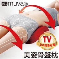 預購【muva】美姿骨盆枕~日本骨盤達人推薦!