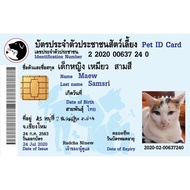 บัตรประชาชนสัตว์เลี้ยง บัตรประชาชนสัตว์เลี้ยง บัตรน้องหมาน้องแมว