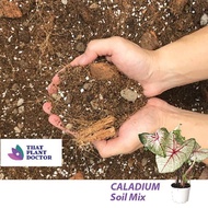 Caladium Soil Mix (4L / 1.8KG)