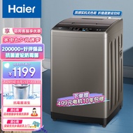 海尔（Haier）波轮洗衣机全自动 以旧换新 10公斤大容量 波轮 健康除螨洗 智能自编程 EB100Z109 蝶形水流