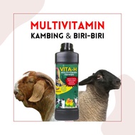 Vita-H Multivitamin Untuk Kambing Dan Biri-Biri