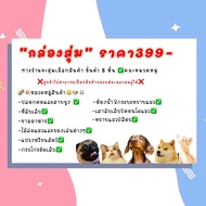 ◈PEKO PETCAT กล่องสุ่มของสัตว์เลี้ยง สุดคุ้ม Unbox จัดหนักจัดเต็ม กล่องสุ่มแมว กล่องสุ่มหมา รับประกันความคุ้มค่า✧