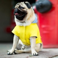 【CANADA POOCH】追隨者雨衣24號(CANADA POOCH TORRENTIAL TRACKER)
