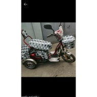 ▪▲❏Nwow/Romai/Koda ERV-3 wheel Ebike Cover for back/seat, basket and Headlight COD.