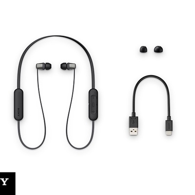 【SONY 索尼】WI-C310 無線藍牙入耳式耳機