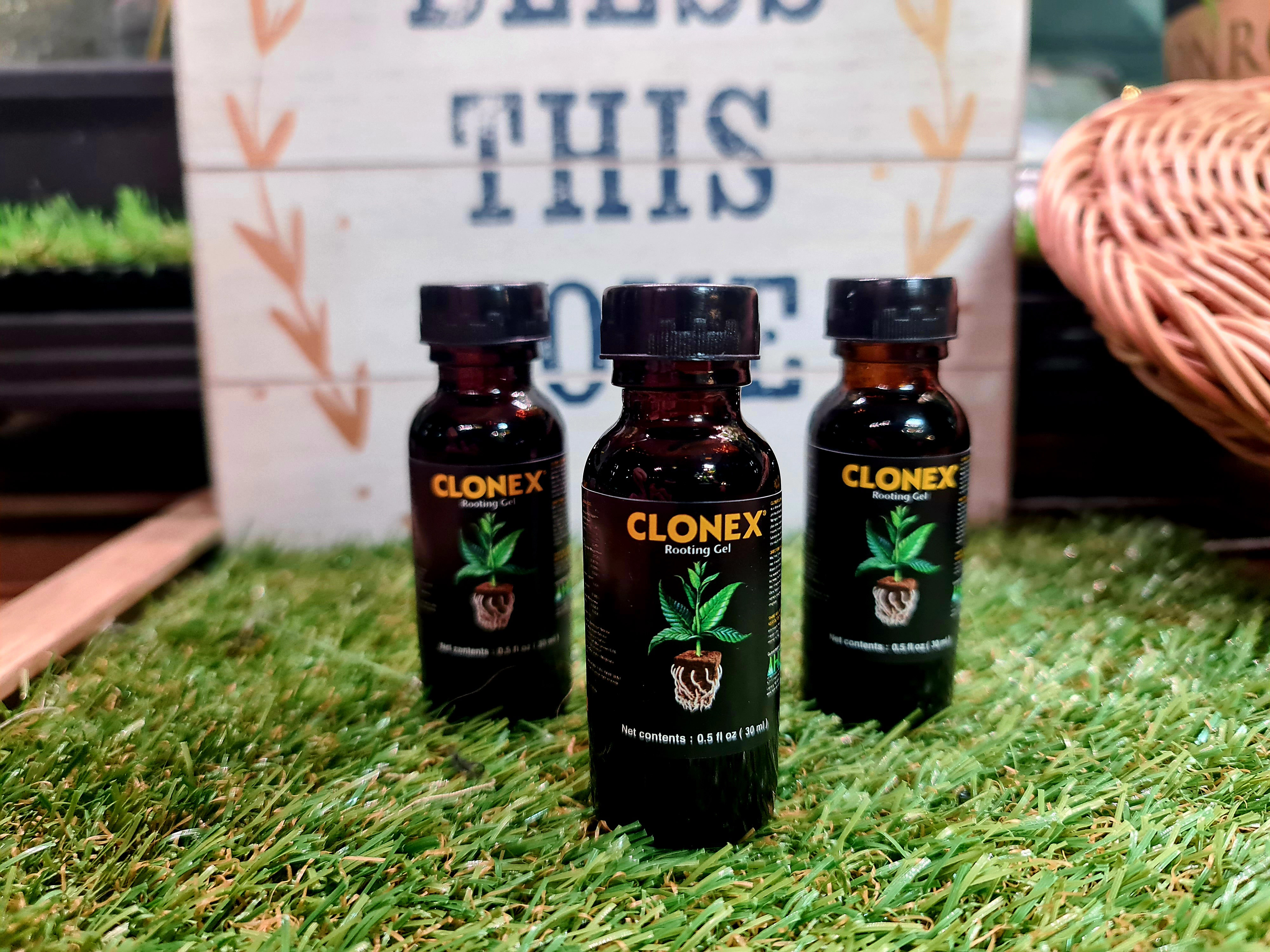 Clonex ถูกที่สุด พร้อมโปรโมชั่น พ.ย. 2022|BigGoเช็คราคาง่ายๆ