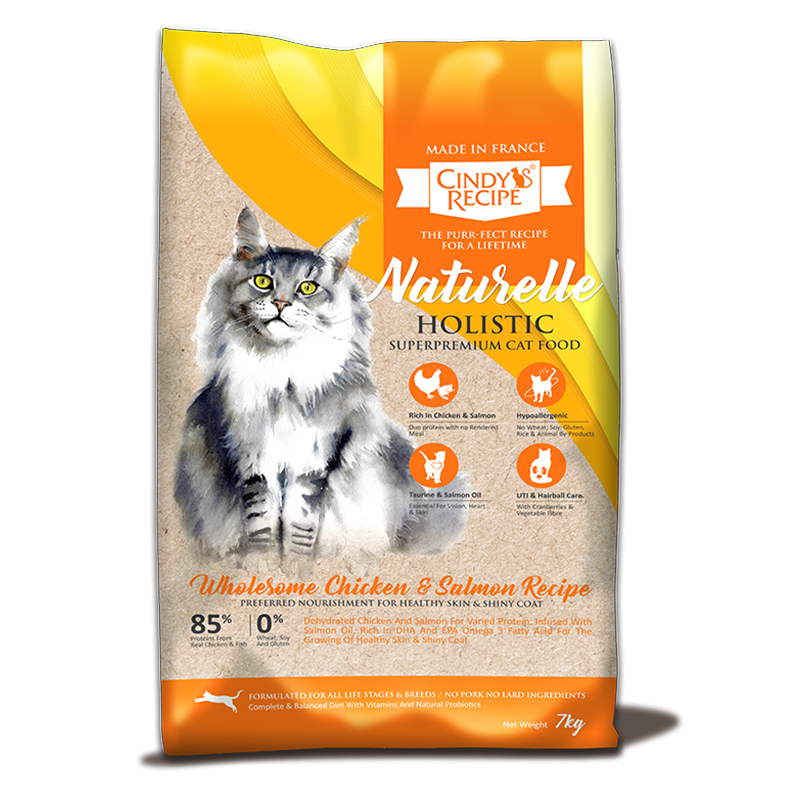 premium holistic cat food