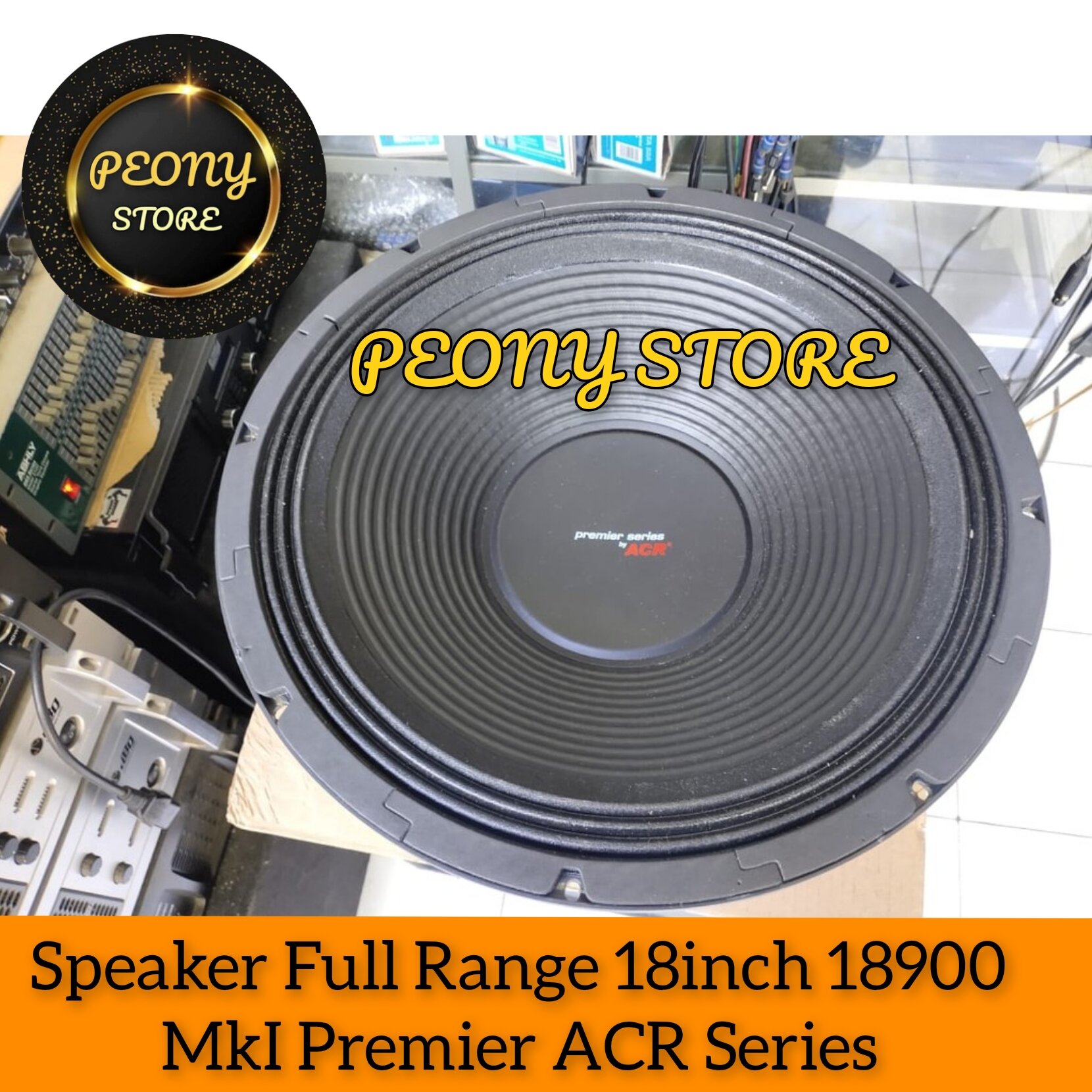 speaker acr 18 inch full range