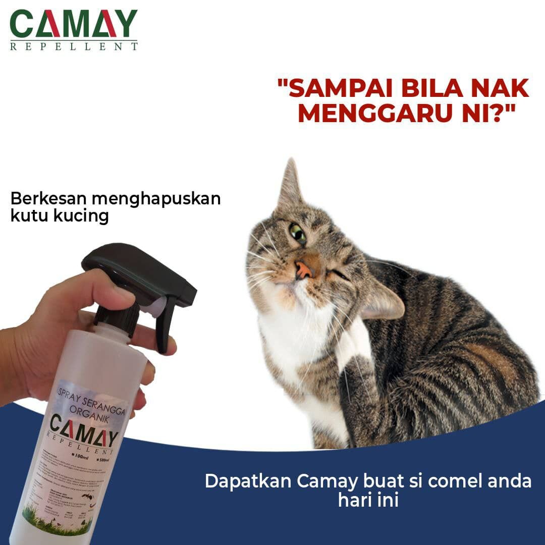 Ubat Kutu Kucing Spray Price Promotion Jun 2021 Biggo Malaysia